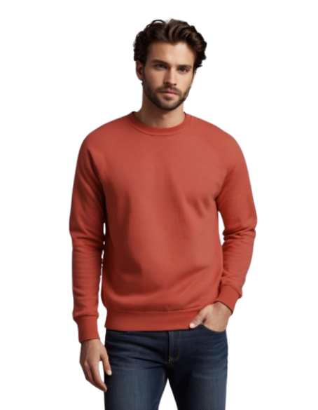 Photo 1 of 2 - Coral Unisex Sweatshirt | Premium | Cozy Thread | Cozy Thread Company
